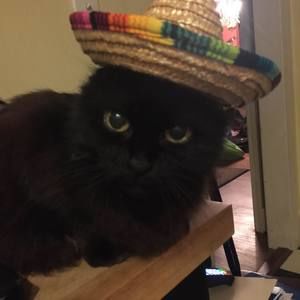 Meet your Posher, Becky